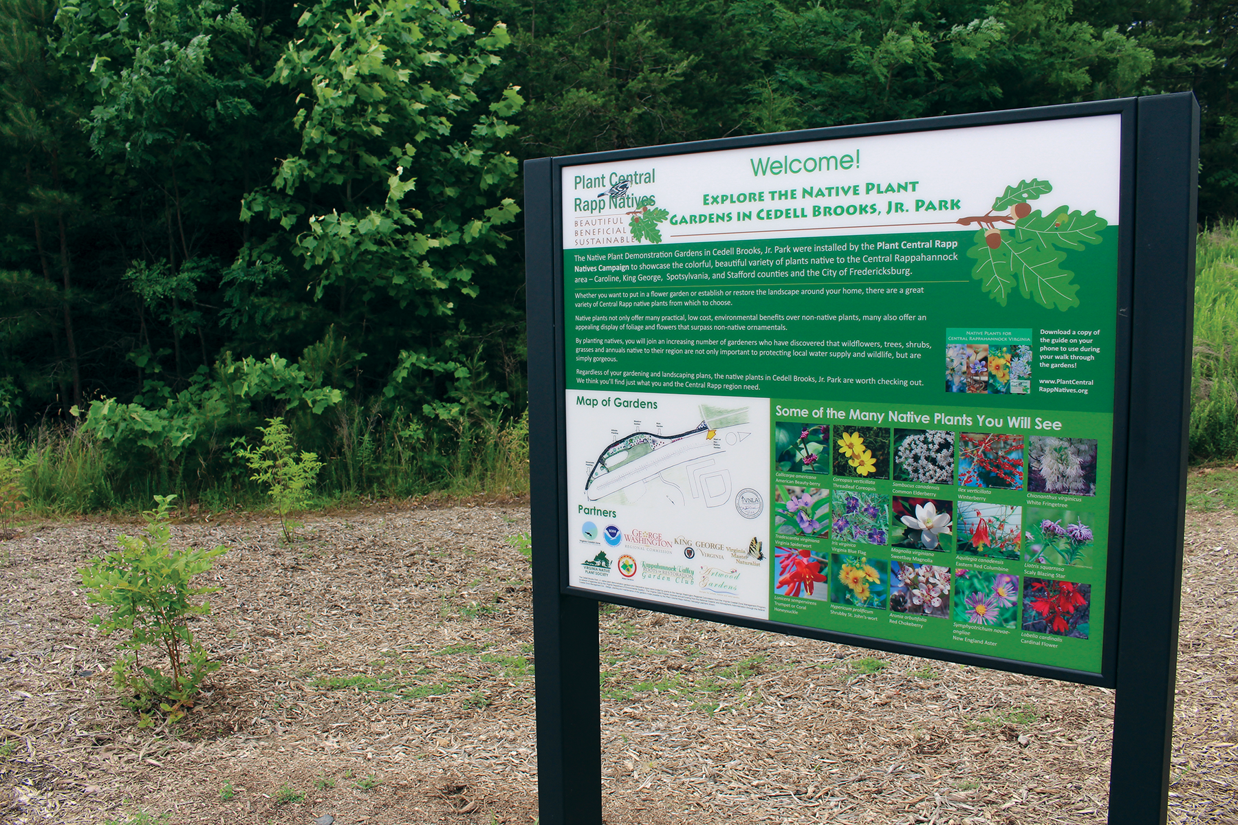 King George Cedell Brooks Park Signs