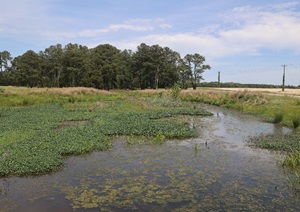 WetlandsPermittingExam