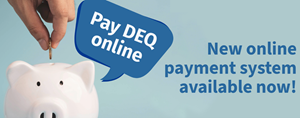 OnlinePayment