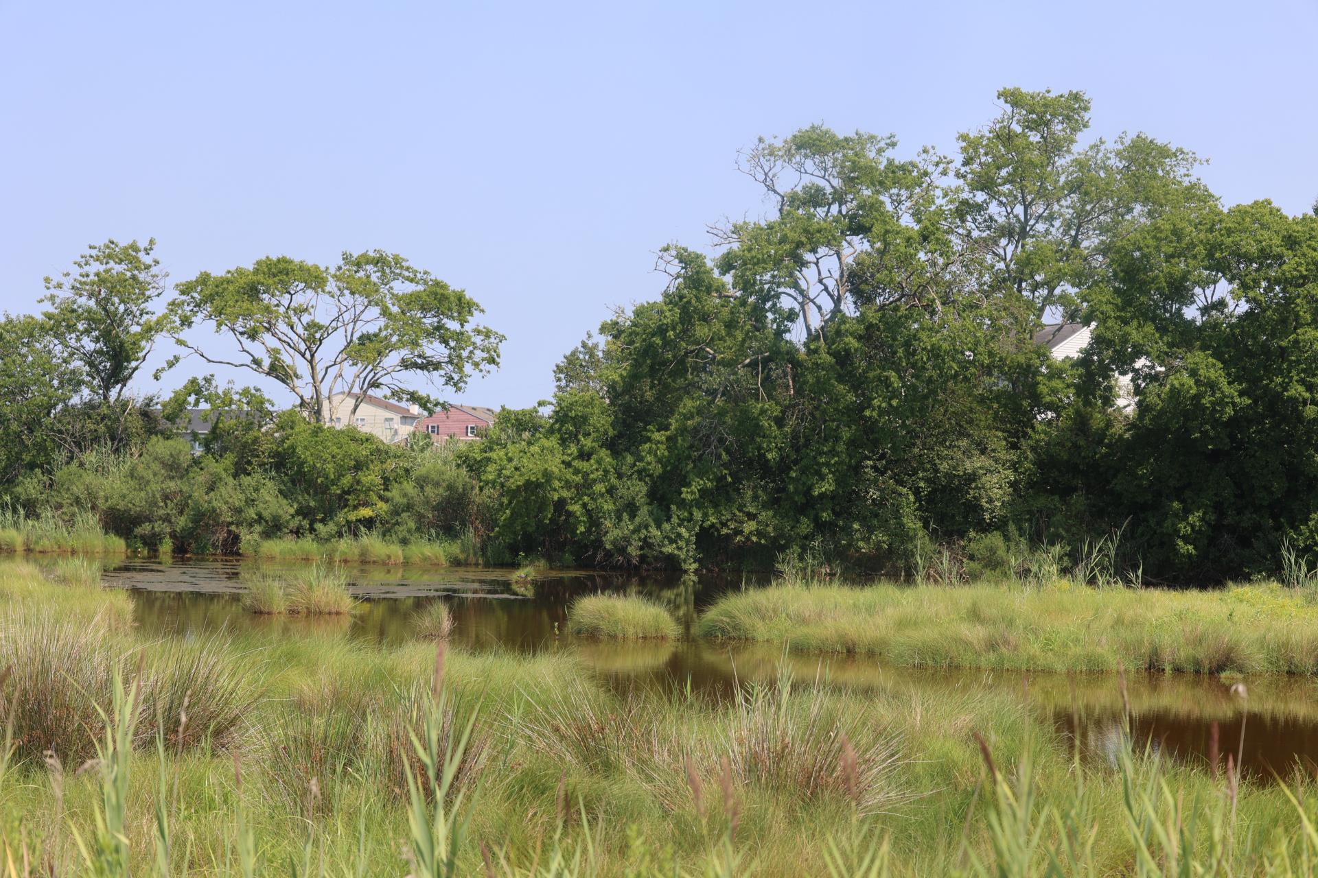 Grandview Nature Preserve - Hampton